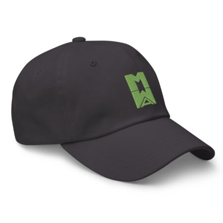 Many Worlds Art Logo Cap - Grey/Green